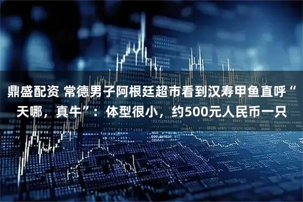 鼎盛配资 常德男子阿根廷超市看到汉寿甲鱼直呼“天哪，真牛”：体型很小，约500元人民币一只